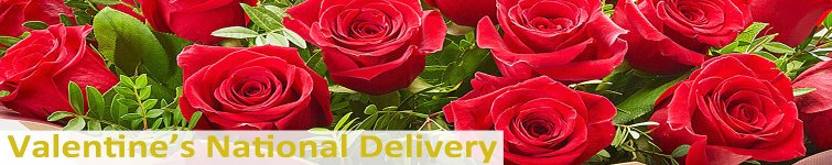 Valentine's National Delivery