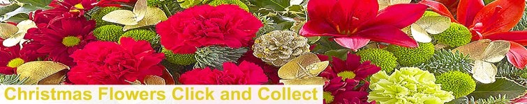 Christmas flowers click and Collect