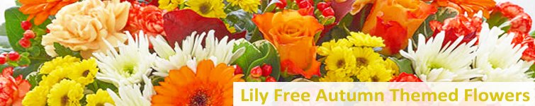 Autumn themed lily free Bouquets