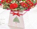 Christmas cheer gift box Code: JGFX90031CGB | Local delivery or collect from shop only