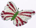 Butterfly funeral flower tribute Code: JGFF96WBFT | Local Delivery Or Collect From Shop Only