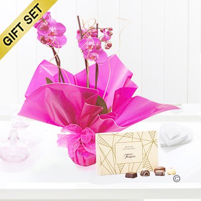 Pink Phalaenopsis Orchid Plant with a box of Luxury Belgian Chocolates Code: JGF1464POP-C  | Local Delivery Or Collect From Shop Only