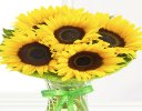 Happy Birthday Sunflower Sunburst Vase Code: JGFSU54879HB | Local Delivery Only