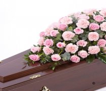 Pink Rose and Pink Carnation Casket Spray Code: F13590PS | National and Local Delivery