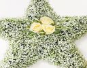 White Gypsophila Star Tribute  Code: JGF13000WS | Local Delivery Or Collect From Shop Only