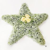 White Gypsophila Star Tribute  Code: JGF13000WS | Local Delivery Or Collect From Shop Only