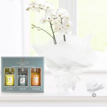 White phalaenopsis orchid plant with a Sipsmith gin trio gift set Code: JGF1454POW-SG | Local delivery or collect from shop only