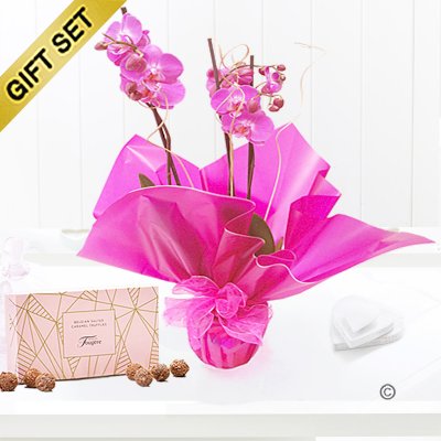 Pink phalaenopsis orchid plant with a box of luxury salted caramel chocolate truffles Code: JGF1454POP-SCT | Local delivery or collect from shop only