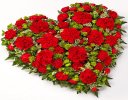 Classic Carnation and Spray Carnation Heart Code: JGFF1230REH | Local Delivery Or Collect From Shop Only