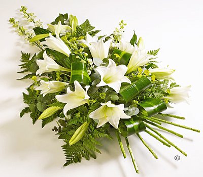White Longiflorum Lily Spray  Code: JGFF4250FS  | Local Delivery Or Collect From Shop Only