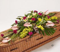 Orchid Casket Spray Pink and Green Code: JGFF1106CS  | Local Delivery Or Collect From Shop Only