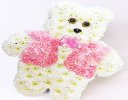 Teddy Bear Pink & White Code: JGFF136187PT | Local Delivery Or Collect From Shop Only