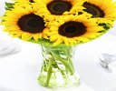 Sunflower Sunburst Vase Code: JGFSU54879SS | Local Delivery Or Collect From Shop Only