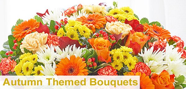 Autumn Flowers - same day delivery Taunton flower delivery